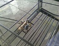 kabina mostovogo krana zakrytaya13